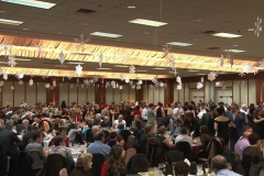 3_ALBTVUSA-DEVIS-XHERAU-VITI-RI-2015