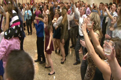 ALBTVUSA-VITI-RI-2015